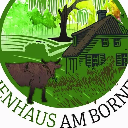 House On Bornfeld Апартаменты